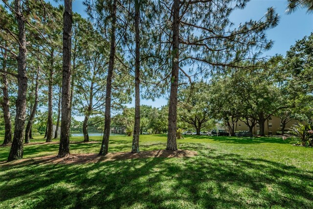 2690 Coral Landings Blvd Unit 122, Palm Harbor, FL 34684 - photo 31