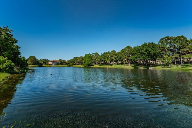 2690 Coral Landings Blvd Unit 122, Palm Harbor, FL 34684 - photo 35