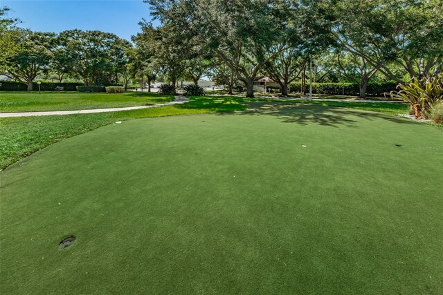 2690 Coral Landings Blvd Unit 122, Palm Harbor, FL 34684 - photo 56