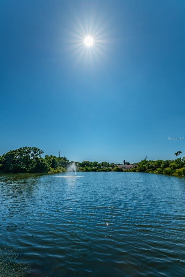 2690 Coral Landings Blvd Unit 122, Palm Harbor, FL 34684 - photo 63