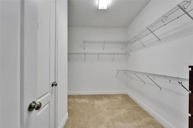 11911 Sunburst Marble Rd, Riverview, FL 33579 - photo 24