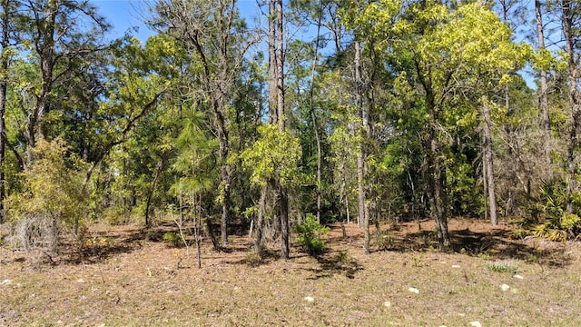 0 SW 97th Pl, Dunnellon, FL 34432 - photo 1