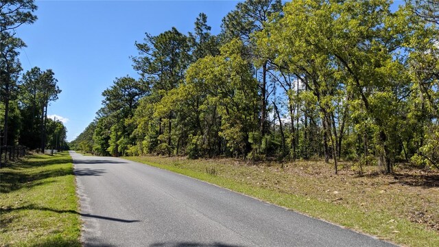 0 SW 97th Pl, Dunnellon, FL 34432 - photo 2