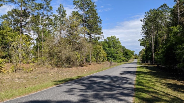 0 SW 97th Pl, Dunnellon, FL 34432 - photo 3