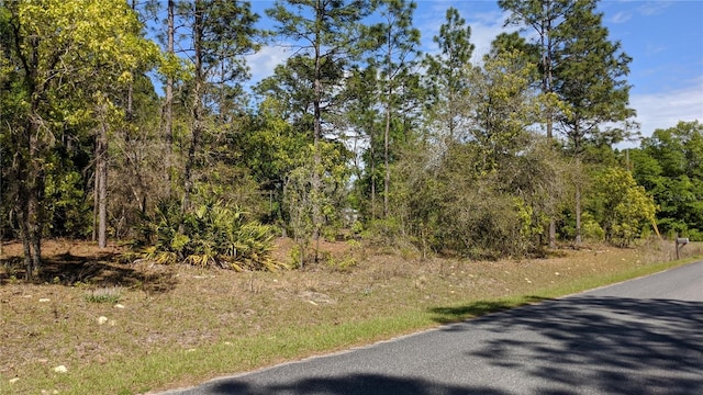 0 SW 97th Pl, Dunnellon, FL 34432 - photo 5