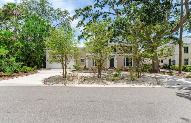 4901 W Estrella St, Tampa, FL 33629 - photo 4