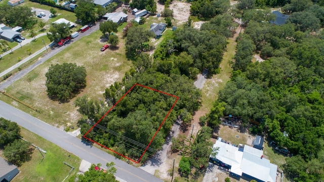 Lake Luther Rd, Lakeland, FL 33805 - photo 4