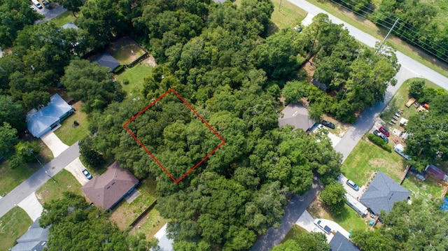 NW 235th St, High Springs, FL 32643 - photo 3