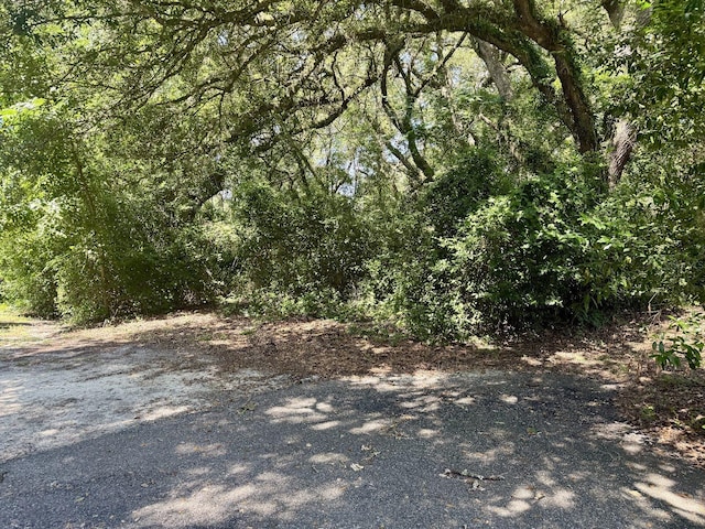 NW 235th St, High Springs, FL 32643 - photo 7