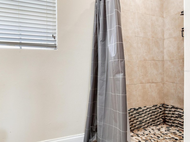 4503 Legacy Park Dr, Tampa, FL 33611 - full bathroom with a tile shower