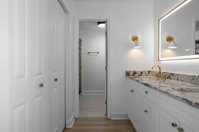 12106 Clearbrook Ct, Riverview, FL 33569 - bathroom with a closet, wood finished floors, and double vanity