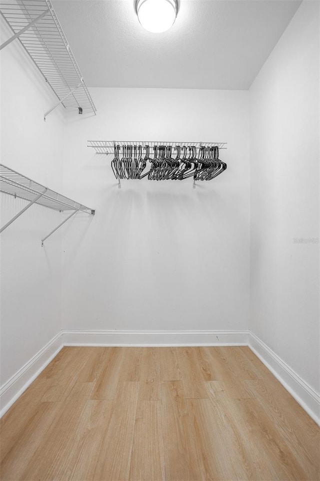 12106 Clearbrook Ct, Riverview, FL 33569 - walk in closet featuring light wood-style floors