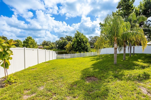 12106 Clearbrook Ct, Riverview, FL 33569 - view of fenced backyard