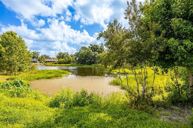 12106 Clearbrook Ct, Riverview, FL 33569 - water view
