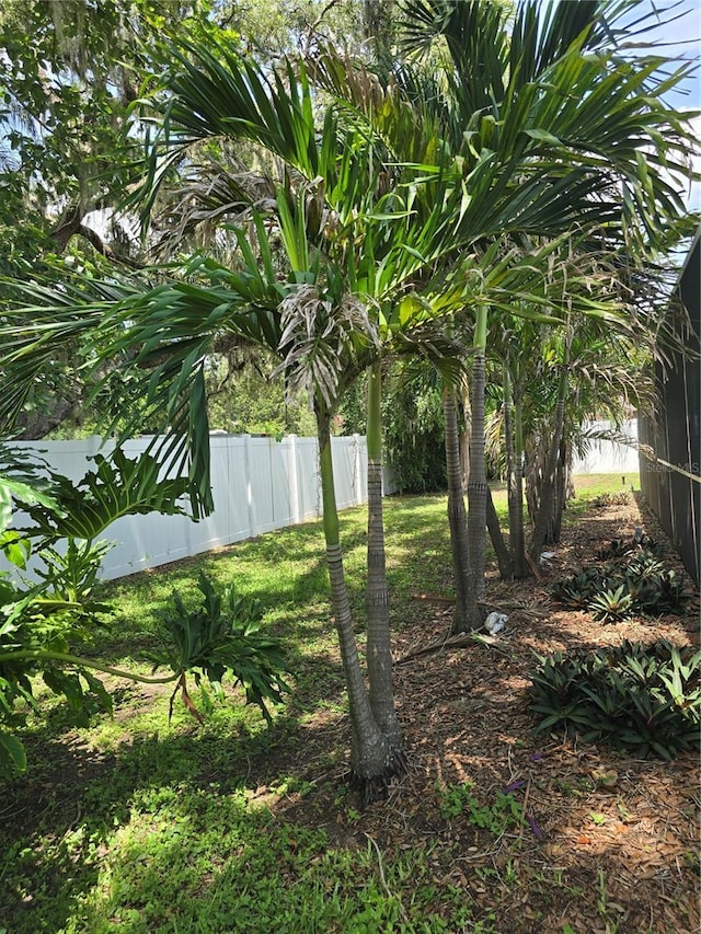 534 N Larry Cir, Brandon, FL 33511 - view of yard