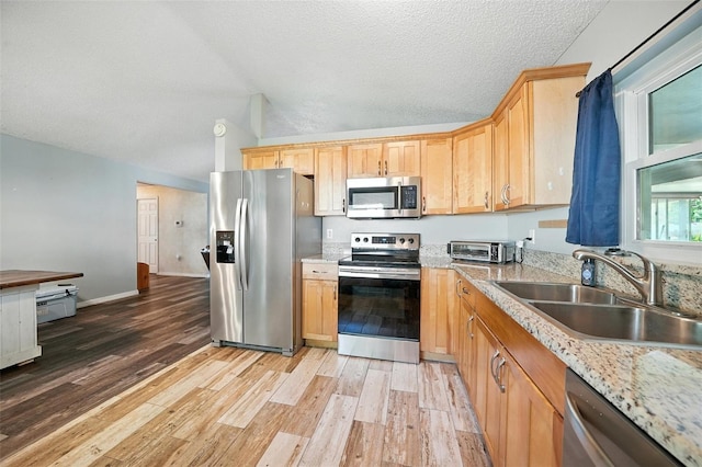 22422 Stillwood Dr, Land O Lakes, FL 34639 - photo 5