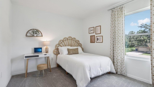 4359 Sand Dollar Way, Zephyrhills, FL 33541 - bedroom featuring carpet flooring and baseboards
