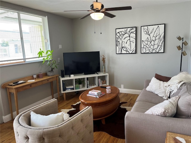 1301 S Howard Ave Unit C4, Tampa, FL 33606 - living area featuring ceiling fan and wood finished floors