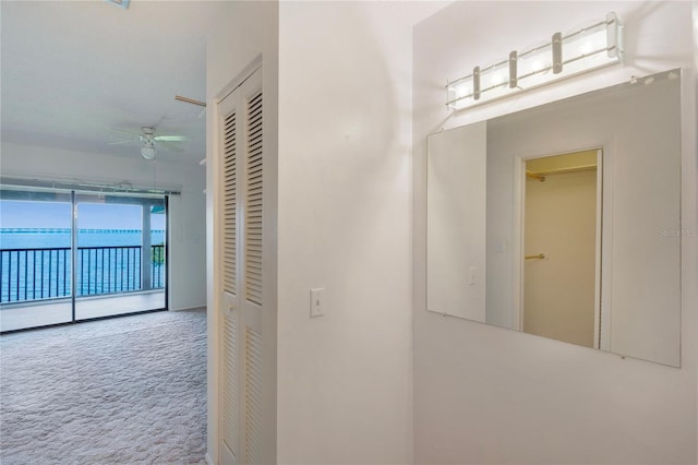 2980 Haines Bayshore Rd Unit 105, Clearwater, FL 33760 - photo 25