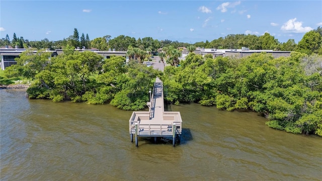 2980 Haines Bayshore Rd Unit 105, Clearwater, FL 33760 - photo 48