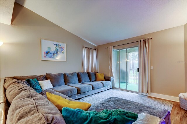 9481 Highland Oak Dr Unit 1308, Tampa, FL 33647 - photo 28
