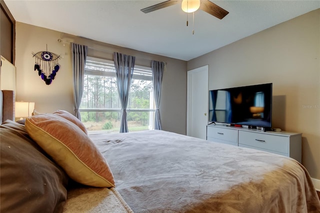9481 Highland Oak Dr Unit 1308, Tampa, FL 33647 - photo 30