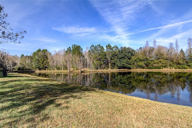 9481 Highland Oak Dr Unit 1308, Tampa, FL 33647 - photo 43