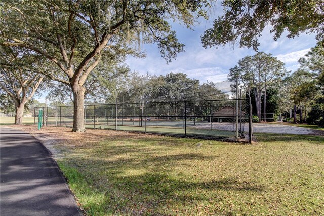 9481 Highland Oak Dr Unit 1308, Tampa, FL 33647 - photo 45
