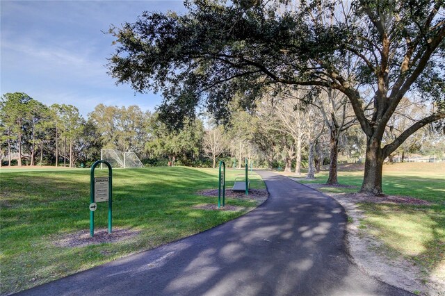 9481 Highland Oak Dr Unit 1308, Tampa, FL 33647 - photo 47