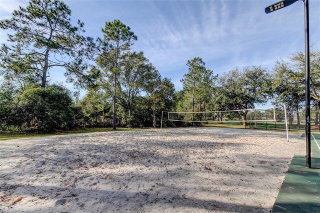 9481 Highland Oak Dr Unit 1308, Tampa, FL 33647 - photo 48