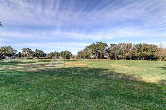 9481 Highland Oak Dr Unit 1308, Tampa, FL 33647 - photo 49