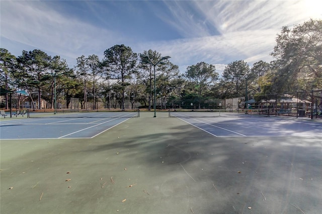 9481 Highland Oak Dr Unit 1308, Tampa, FL 33647 - photo 55