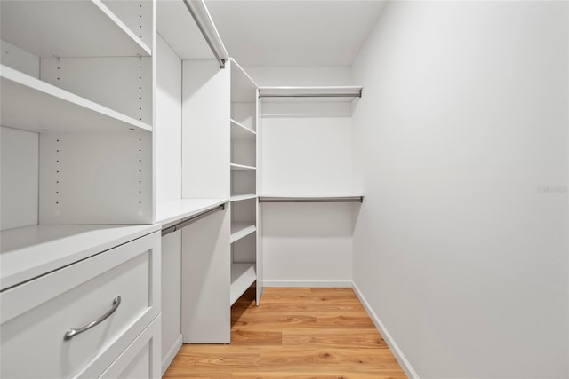 4639 Cabbage Palm Dr, Valrico, FL 33596 - spacious closet featuring light wood-style flooring