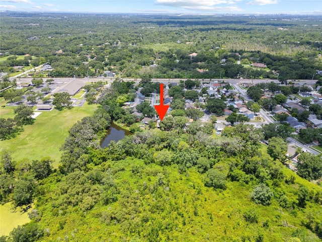 4639 Cabbage Palm Dr, Valrico, FL 33596 - view of property location with a forest