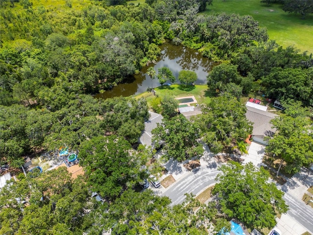 4639 Cabbage Palm Dr, Valrico, FL 33596 - bird's eye view of a nearby body of water