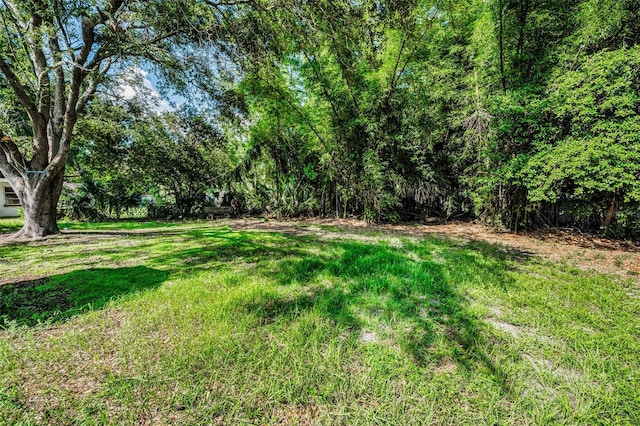 2121 Dodge St, Clearwater, FL 33760 - photo 23