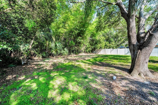 2121 Dodge St, Clearwater, FL 33760 - photo 24