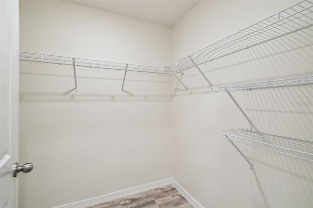 4119 Autumn Amber Dr, Spring Hill, FL 34609 - spacious closet featuring light wood finished floors