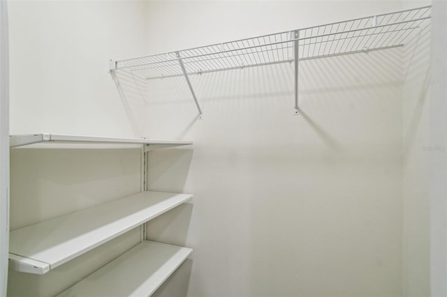 4119 Autumn Amber Dr, Spring Hill, FL 34609 - view of spacious closet