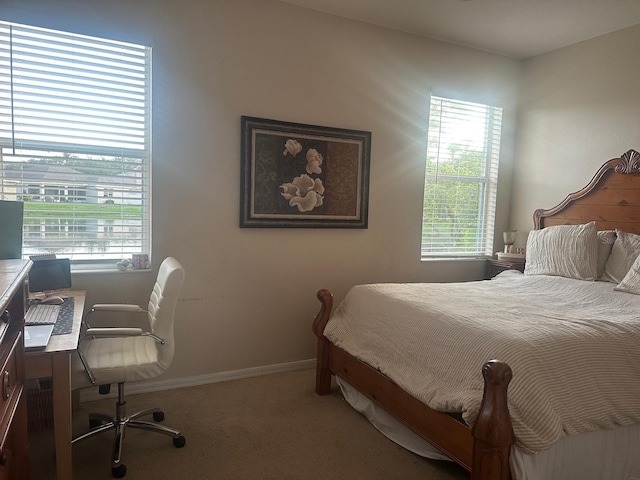10109 36th Ct E, Parrish, FL 34219 - bedroom featuring carpet, multiple windows, and a desk