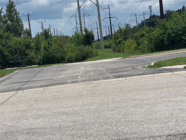 10109 36th Ct E, Parrish, FL 34219 - view of asphalt road