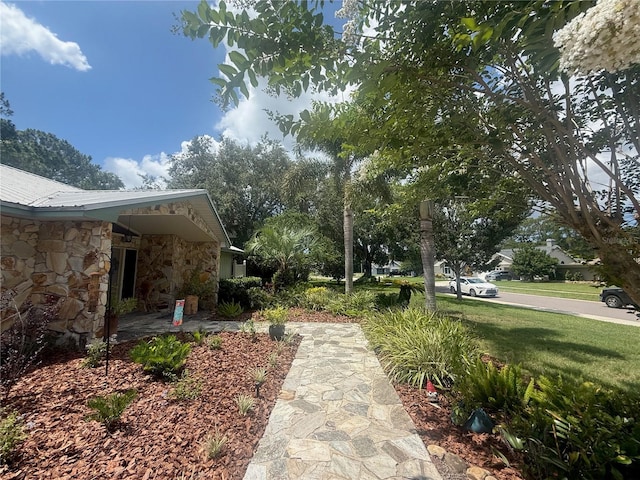 2215 Toniwood Ln, Palm Harbor, FL 34685 - view of grassy yard
