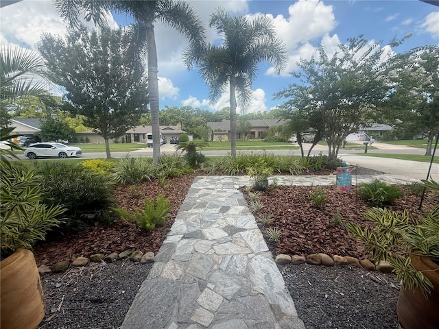 2215 Toniwood Ln, Palm Harbor, FL 34685 - view of yard