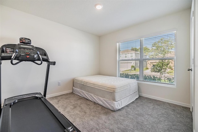 13304 Mylion Way, Spring Hill, FL 34610 - workout room with carpet and baseboards