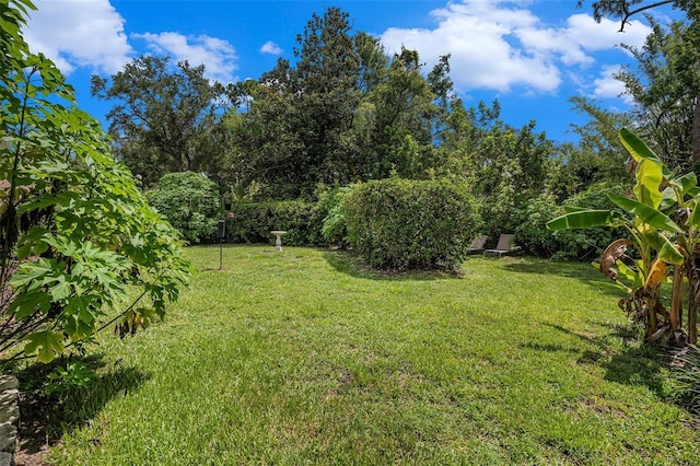 3335 Foxridge Cir, Tampa, FL 33618 - view of grassy yard
