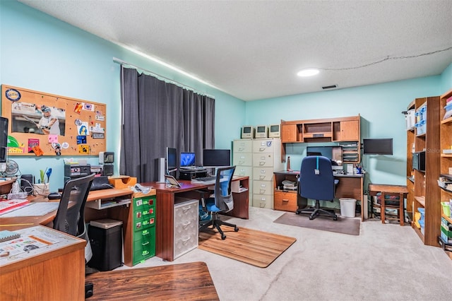 1810 Orange Hill Dr, Brandon, FL 33510 - home office featuring light carpet and a textured ceiling