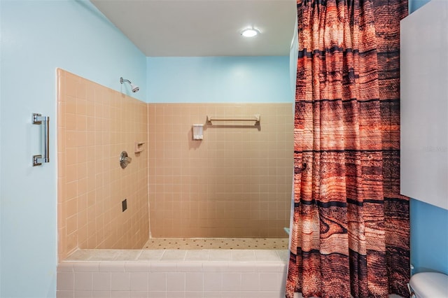 1810 Orange Hill Dr, Brandon, FL 33510 - bathroom featuring a tile shower and toilet