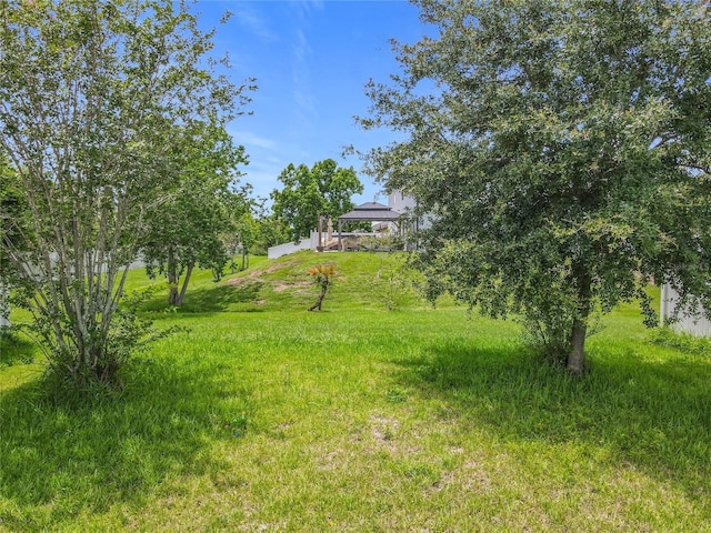 1138 Fountain Coin Loop, Orlando, FL 32828 - view of yard