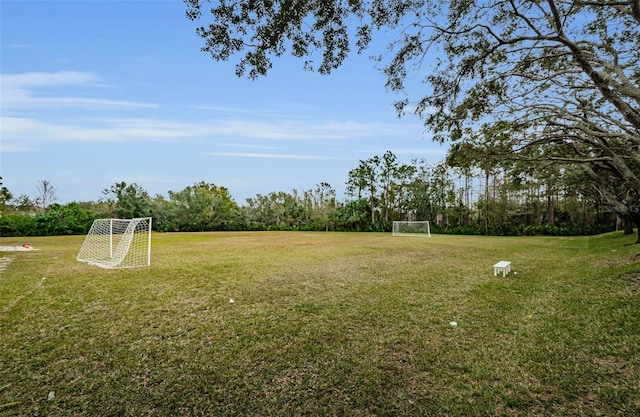 8604 Herons Cove Pl, Tampa, FL 33647 - photo 71