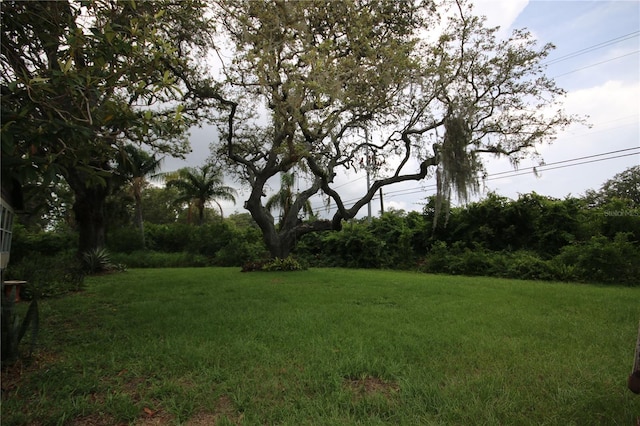 2883 State Road 590th Rd, Clearwater, FL 33759 - photo 18